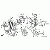 Схема узла: Радиатор для Honda VT750 Shadow Spirit