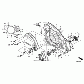 Схема вузла: Right crankcase cover + water pump для Honda CRF250 CRF250R