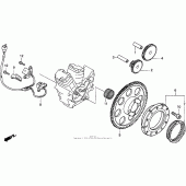 Схема вузла: Генератор для Honda VT600 Shadow VLX