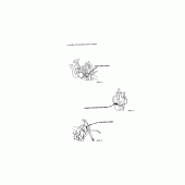 Схема узла: Справочная информация для Honda CR250