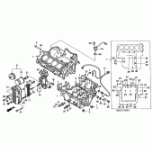 Схема узла: Картер двигателя для Honda CB600F Hornet S