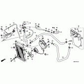 Схема узла: Радиатор (FJS400D9/FJS400 A) для Honda FJS400 Silver Wing