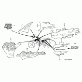 Схема вузла: Stripe / mark (1) для Honda XRV750 Africa Twin