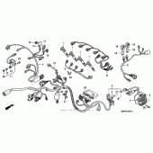 Схема узла: Жгут проводки (`01-`03) для Honda CBR600 CBR600F4i