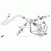 Схема вузла: Термостат для Honda RVT1000R RVT RC51