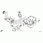 Схема узла: Масляный насос & Поддон для Honda CMX500 Rebel