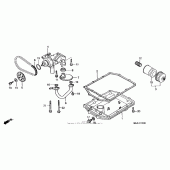 Схема узла: Масляный насос для Honda ST1100 Pan-European