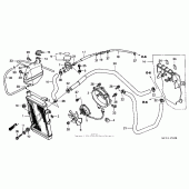 Схема вузла: Радіатор для Honda FSC600 Silver Wing