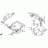 Схема узла: Масляный насос & Масляный фильтр & Поддон для Honda CBR1100XX Blackbird