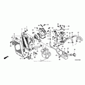 Схема узла: Радиатор для Honda VT750 Shadow Spirit