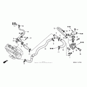 Схема узла: Термостат для Honda CBR600 CBR600RR