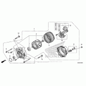 Схема вузла: Генератор для Honda GL1800 Gold Wing Valkyrie