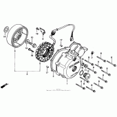 Схема узла: Левая крышка картера для Honda XL600 Transalp