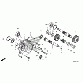 Схема вузла: Трансмісія для Honda FSC600 Silver Wing