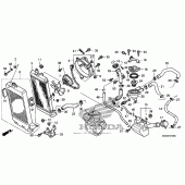 Схема узла: Радиатор для Honda VT750 Shadow RS