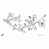 Схема вузла: Електрообладнання (CBF600S6 / SA6) для Honda CBF600