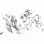 Схема узла: Радиатор для Honda NX250