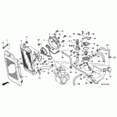 Схема узла: Радиатор для Honda VT750 Shadow Aero