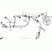 Схема вузла: Water pipe для Honda VT1100 Shadow ACE