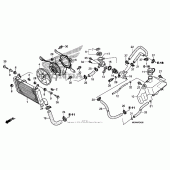 Схема узла: Радиатор для Honda NT700 NT700V