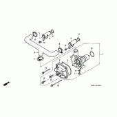 Схема узла: Водяной насос для Honda GL1500 Gold Wing Special Edition