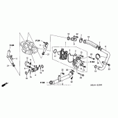 Схема вузла: Водяний насос для Honda VTX1300