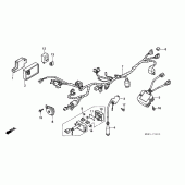 Схема вузла: Жгут проводки / котушка запалювання для Honda NX650 Dominator