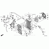 Схема вузла: Радіатор для Honda CRF250 CRF250L
