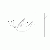 Схема вузла: Rr.fender ext. для Honda VT1100 Shadow Sabre