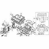 Схема вузла: Картер двигуна для Honda CBR600 CBR600F3