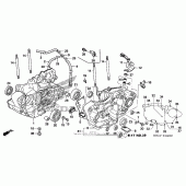Схема вузла: Картер двигуна для Honda CRF250 CRF250X