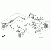 Схема узла: Поворотники для Honda XL600 Transalp