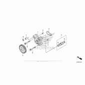 Схема узла: Масляный насос для Honda CRF250 CRF250L