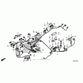 Схема узла: Электрооборудование для Honda NSA700 DN-01