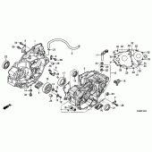 Схема вузла: Картер двигуна для Honda CRF250 CRF250R
