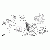 Схема узла: Масляный охладитель для Honda RVT1000R RVT RC51