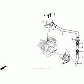 Схема узла: Water pipe для Honda VTR250 VTR