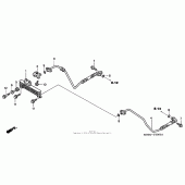 Схема вузла: Масляний охолоджувач для Honda VTR1000 Superhawk