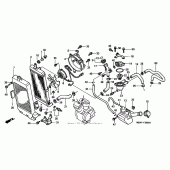 Схема вузла: Радіатор для Honda VT750 Shadow Deluxe