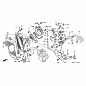 Схема узла: Радиатор для Honda VT750 Black Widow