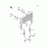 Схема вузла: Олійний охолоджувач для Kawasaki ZR750 Zephyr