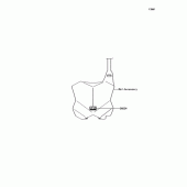 Схема вузла: Наклейка для Kawasaki KX250/KX252 KX250F