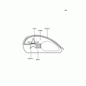 Схема вузла: Наклейки (Помаранчевий/Білий; J7F) для Kawasaki BJ250 Estrella