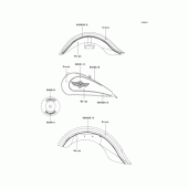 Схема вузла: Decals(green/beige)(vn1500-e3) для Kawasaki VN1500 Vulcan 1500 Classic