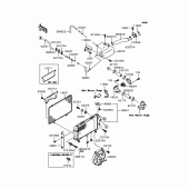 Схема узла: Радиатор для Kawasaki VN250 Eliminator 250V