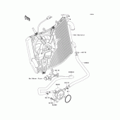 Схема узла: Масляный охладитель для Kawasaki ZX600 Ninja ZX-6RR