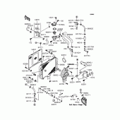 Схема узла: Радиатор (1/2) для Kawasaki KLE500