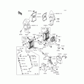 Схема узла: Радиатор (1/2) для Kawasaki KL250 KLR250