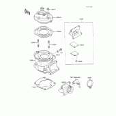 Схема узла: Cylinder head/cylinder для Kawasaki KX100