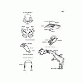 Схема вузла: Decals(Orange) для Kawasaki KLZ1000 Versys 1000 LT